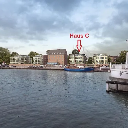 Lachmöwe - C1 Kappeln